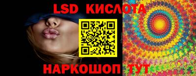 крисы Малгобек