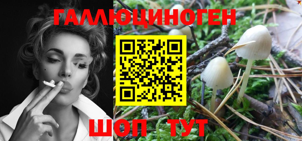 Кисловодск  Галлюциногенные грибы MAGIC MUSHROOMS  Вход с VPN 
